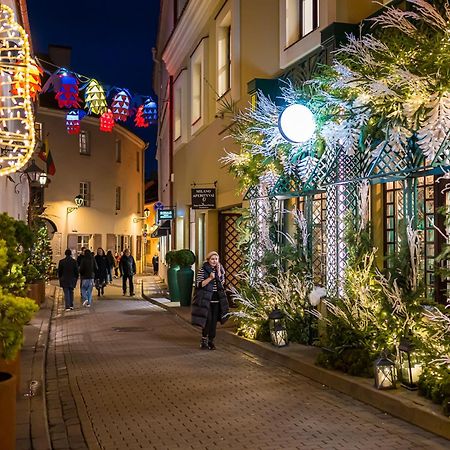 Exclusive Gaono Apartment In The Heart Of Old Town 维尔纽斯 外观 照片