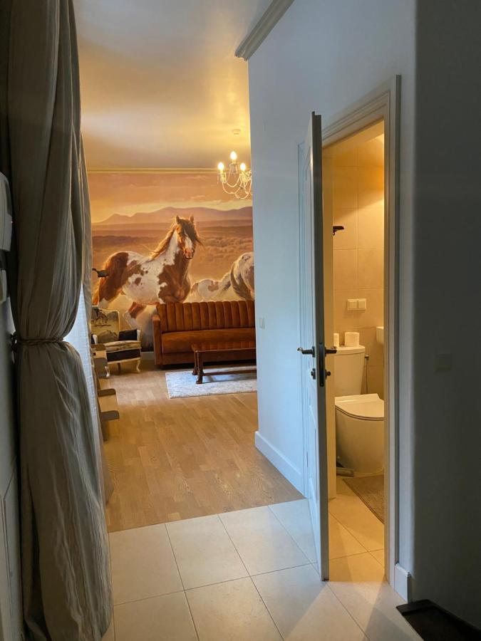 Exclusive Gaono Apartment In The Heart Of Old Town 维尔纽斯 外观 照片