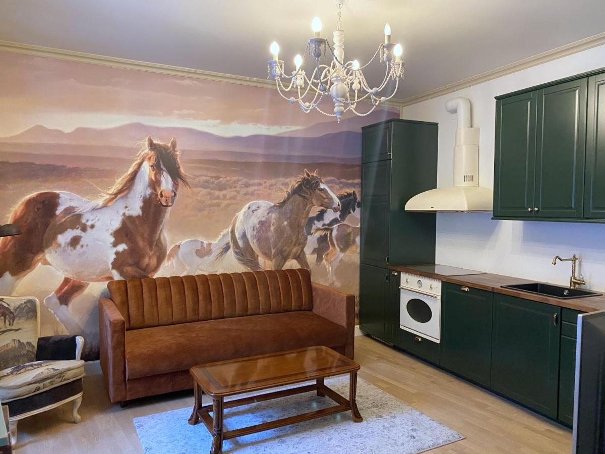 Exclusive Gaono Apartment In The Heart Of Old Town 维尔纽斯 外观 照片